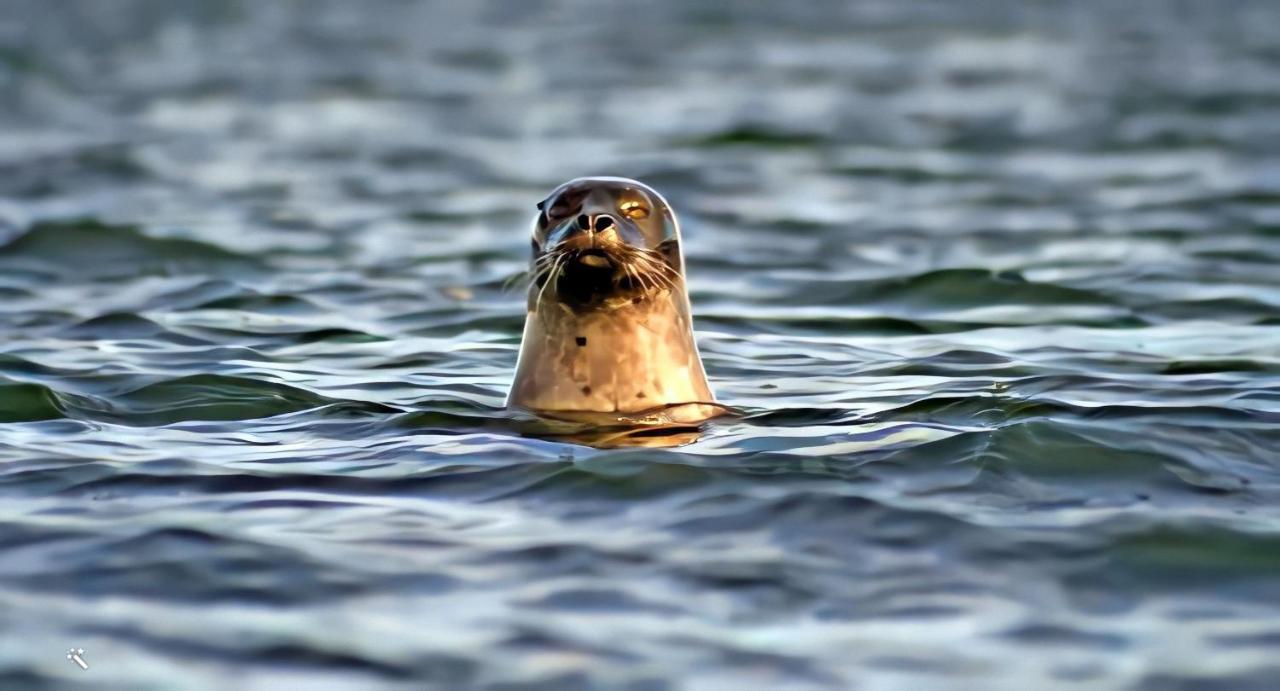 Sjoestugan, Solviken Rockneby Exteriér fotografie